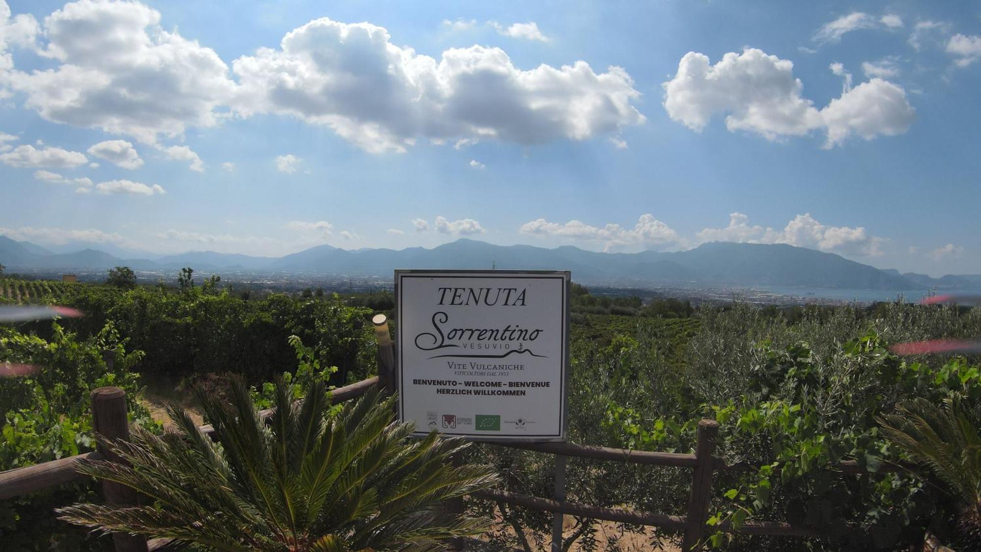 Vesuvio Inn Bed & Wine Experience Boscotrecase エクステリア 写真