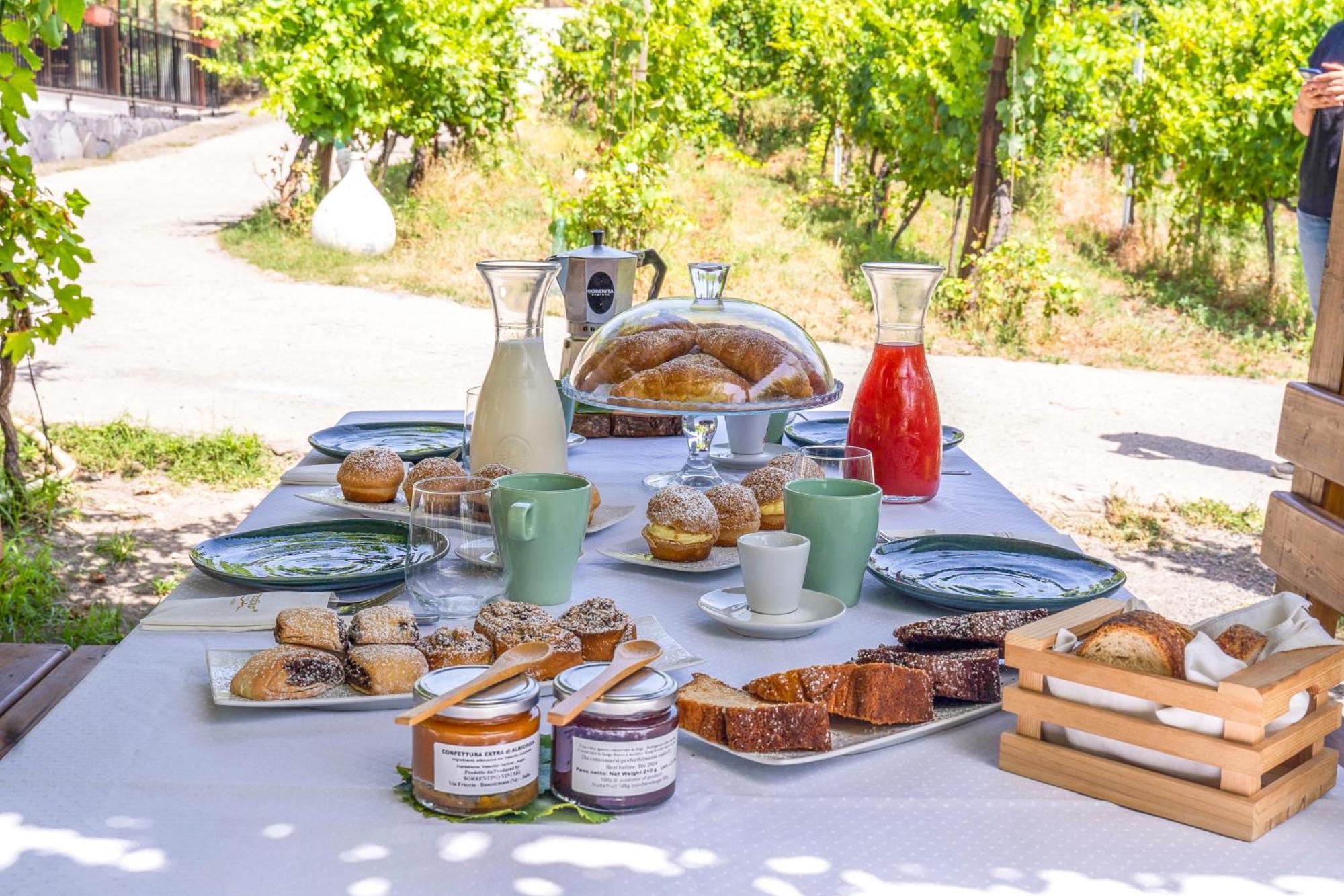 Vesuvio Inn Bed & Wine Experience Boscotrecase エクステリア 写真
