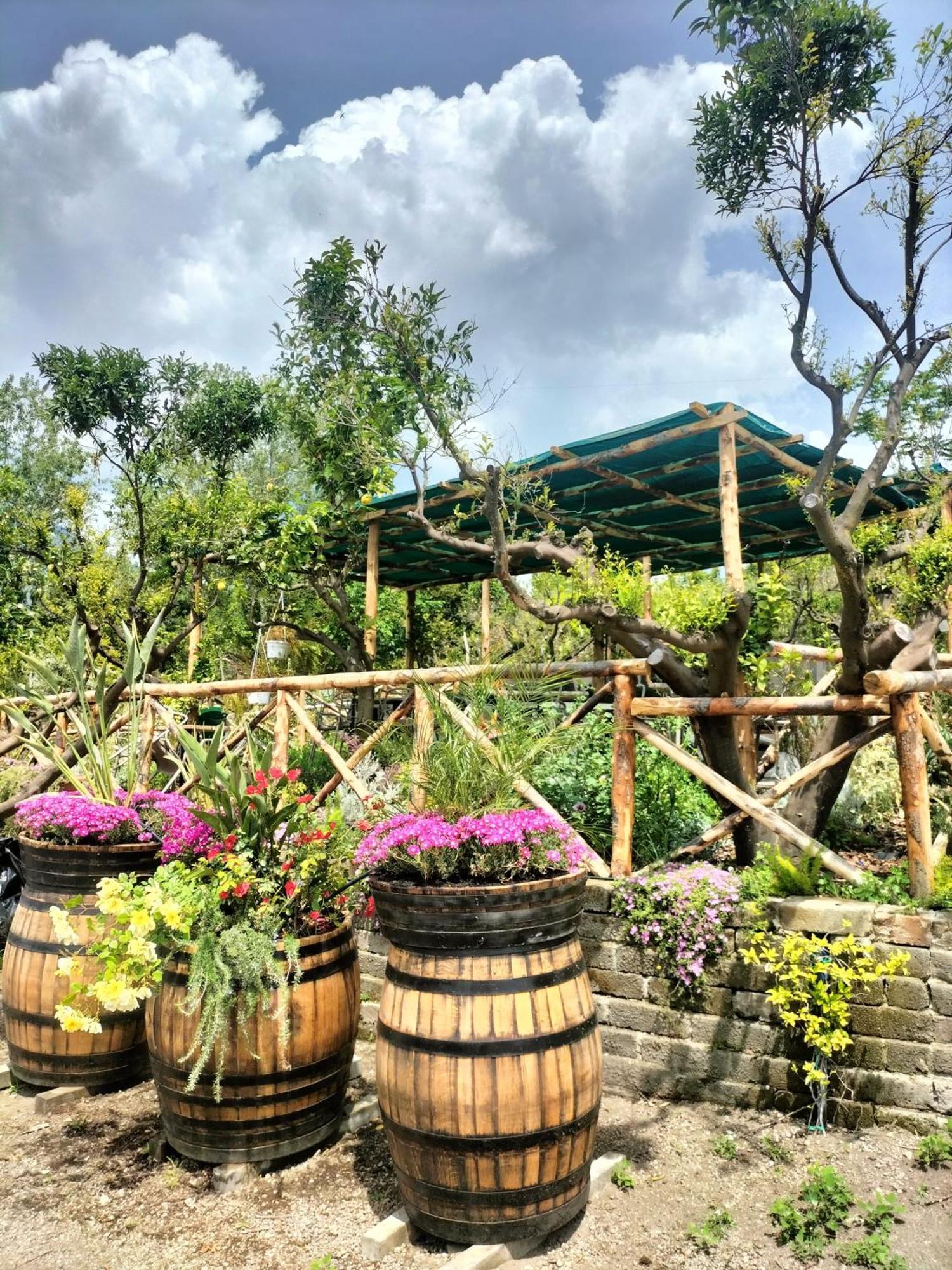 Vesuvio Inn Bed & Wine Experience Boscotrecase エクステリア 写真